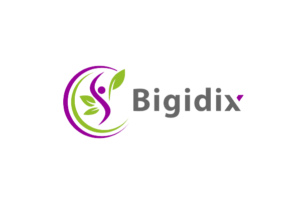Logo-Bigidix