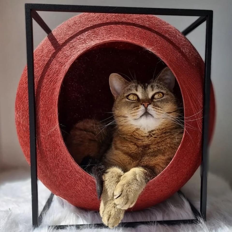 cocon-cube-pour-chat