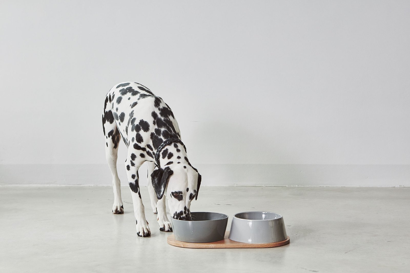 gamelle-porcelaine-chien-doppio-kasibe-miacara-gris